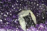 Purple Amethyst Geode - Uruguay - Pounds #83539-3